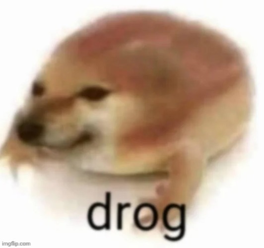 drog | image tagged in drog | made w/ Imgflip meme maker