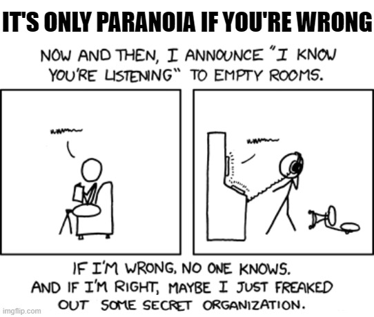 It's Only Paranoia If You're Wrong | IT'S ONLY PARANOIA IF YOU'RE WRONG | image tagged in xkcd remix,paranoia,secret,big brother,i know | made w/ Imgflip meme maker