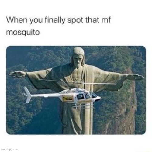 image tagged in mosquito | made w/ Imgflip meme maker