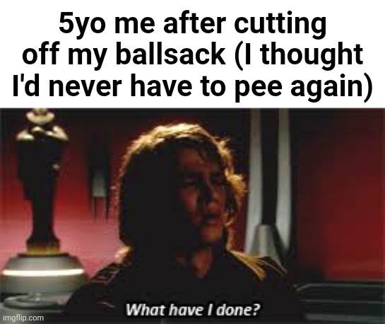 What Have I done? | 5yo me after cutting off my ballsack (I thought I'd never have to pee again) | image tagged in what have i done | made w/ Imgflip meme maker