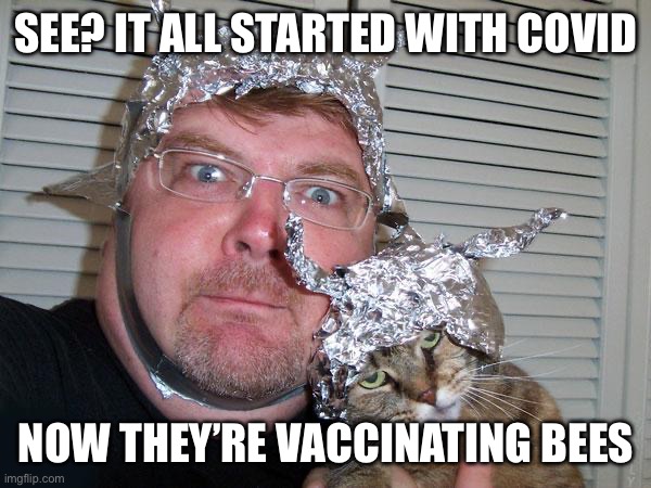 tin foil hat |  SEE? IT ALL STARTED WITH COVID; NOW THEY’RE VACCINATING BEES | image tagged in tin foil hat,vaccines,anti-vaxx,covid-19,memes,funny | made w/ Imgflip meme maker