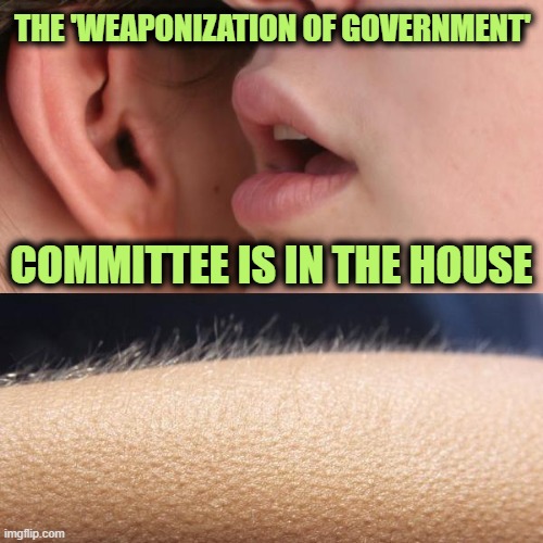 Whisper and Goosebumps | THE 'WEAPONIZATION OF GOVERNMENT'; COMMITTEE IS IN THE HOUSE | image tagged in whisper and goosebumps | made w/ Imgflip meme maker