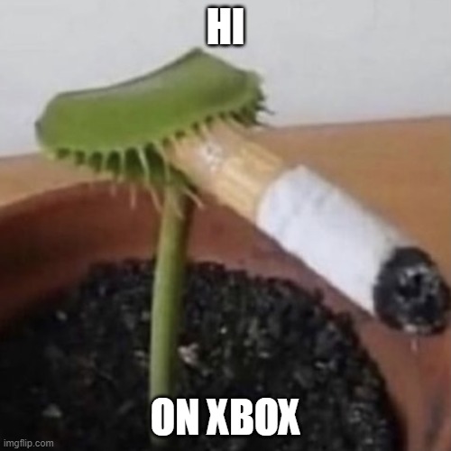 venus flytrap smoking (real) | HI; ON XBOX | image tagged in plant weeds | made w/ Imgflip meme maker