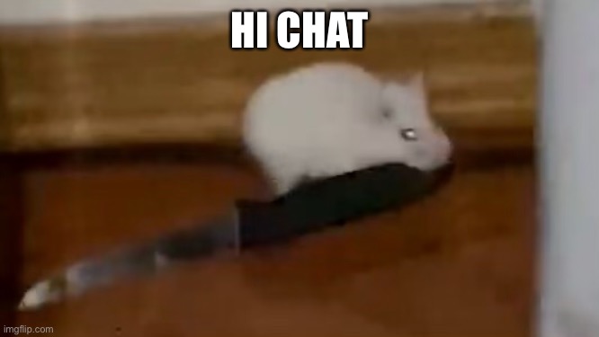 Rat murderer | HI CHAT | made w/ Imgflip meme maker