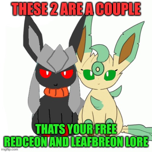 Redceon And Leafe by Sylceon | THESE 2 ARE A COUPLE; THATS YOUR FREE REDCEON AND LEAFBREON LORE | image tagged in redceon and leafe by sylceon | made w/ Imgflip meme maker