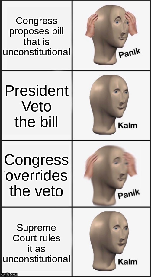 Checks and balences | Congress proposes bill that is unconstitutional; President Veto the bill; Congress overrides the veto; Supreme Court rules it as unconstitutional | image tagged in panik kalm panik kalm | made w/ Imgflip meme maker