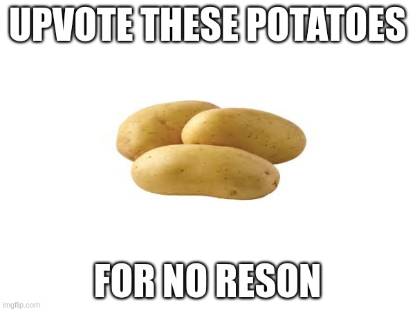 POTATOE | UPVOTE THESE POTATOES; FOR NO RESON | image tagged in funny memes,memes | made w/ Imgflip meme maker