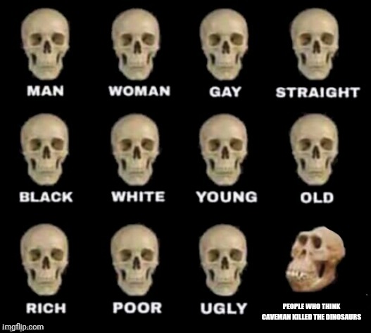 Ngl it is true | PEOPLE WHO THINK CAVEMAN KILLED THE DINOSAURS | image tagged in idiot skull | made w/ Imgflip meme maker