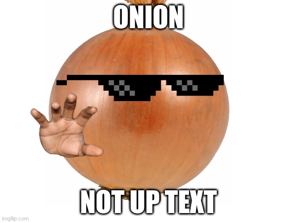 nionon | ONION; NOT UP TEXT | image tagged in onion,funny memes | made w/ Imgflip meme maker