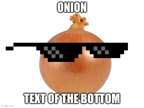 onion | ONION; TEXT OF THE BOTTOM | image tagged in onion | made w/ Imgflip meme maker
