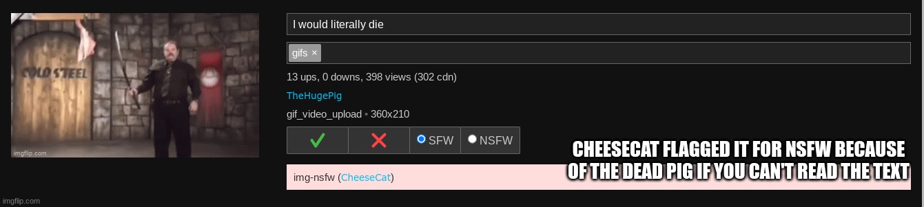 CHEESECAT FLAGGED IT FOR NSFW BECAUSE OF THE DEAD PIG IF YOU CAN'T READ THE TEXT | made w/ Imgflip meme maker