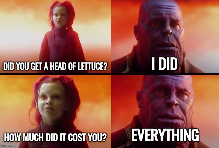 Thanks a lot Biden. | DID YOU GET A HEAD OF LETTUCE? I DID; HOW MUCH DID IT COST YOU? EVERYTHING | image tagged in thanos what did it cost | made w/ Imgflip meme maker