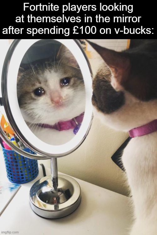 So sad :( | Fortnite players looking at themselves in the mirror after spending £100 on v-bucks: | image tagged in saddest cat mirror,cats,fortnite sucks | made w/ Imgflip meme maker