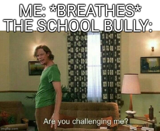 Are you challenging me? | THE SCHOOL BULLY:; ME: *BREATHES* | image tagged in are you challenging me | made w/ Imgflip meme maker