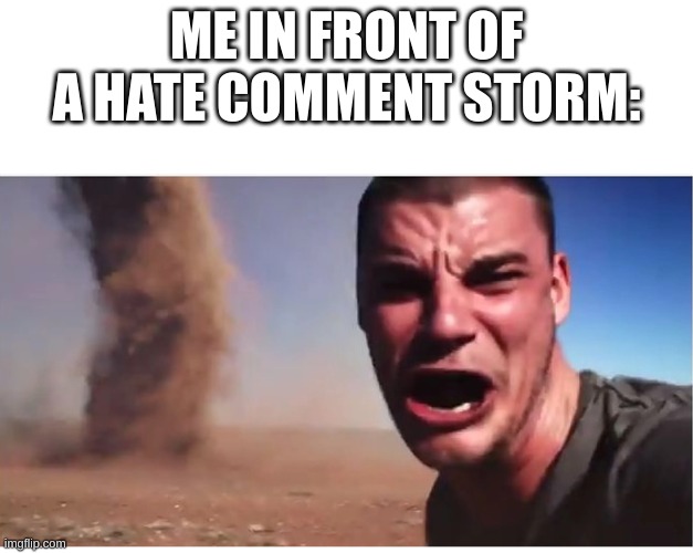 Look here they come! | ME IN FRONT OF A HATE COMMENT STORM: | image tagged in look here they come | made w/ Imgflip meme maker