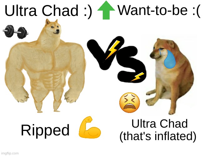 Ultra Chad VS. Not Ultra Chad (Doggie) | Ultra Chad :); Want-to-be :(; Ripped; Ultra Chad (that's inflated) | image tagged in memes,buff doge vs cheems | made w/ Imgflip meme maker