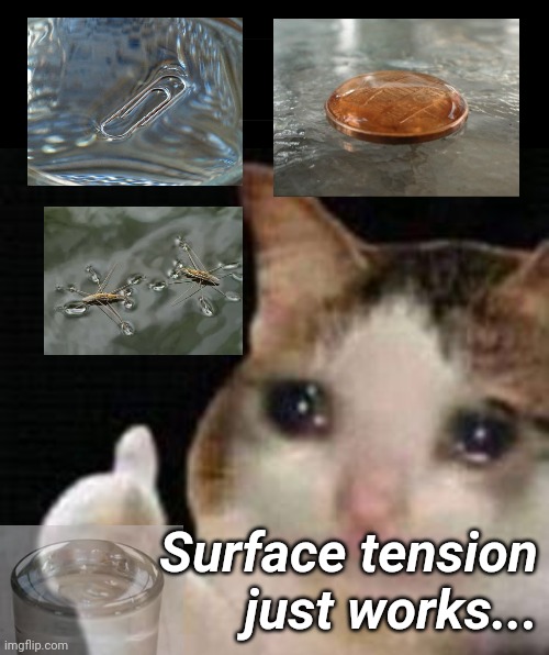 Surface tension just works... | Surface tension just works... | image tagged in black bar,approved crying cat,science,physics,water | made w/ Imgflip meme maker