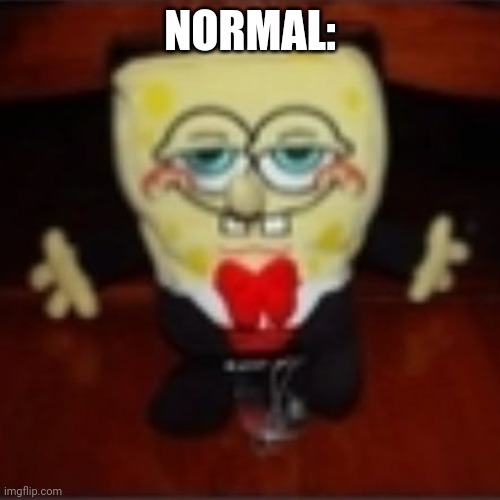 idk.jpg | NORMAL: | image tagged in idk jpg | made w/ Imgflip meme maker