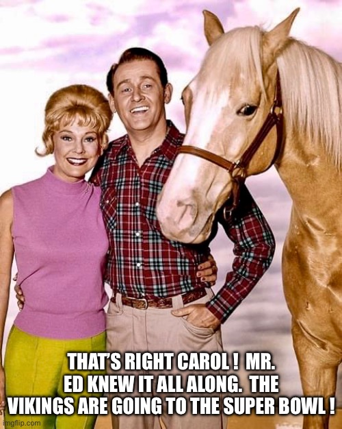 Vikings Super Bowl | THAT’S RIGHT CAROL !  MR. ED KNEW IT ALL ALONG.  THE VIKINGS ARE GOING TO THE SUPER BOWL ! | image tagged in minnesota vikings | made w/ Imgflip meme maker