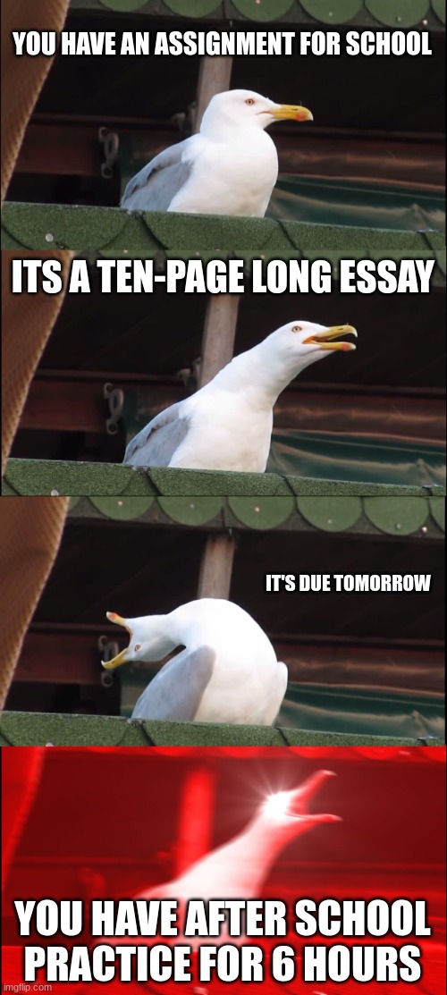 personally, i haven't had a teacher like this | YOU HAVE AN ASSIGNMENT FOR SCHOOL; ITS A TEN-PAGE LONG ESSAY; IT'S DUE TOMORROW; YOU HAVE AFTER SCHOOL PRACTICE FOR 6 HOURS | image tagged in memes,inhaling seagull | made w/ Imgflip meme maker