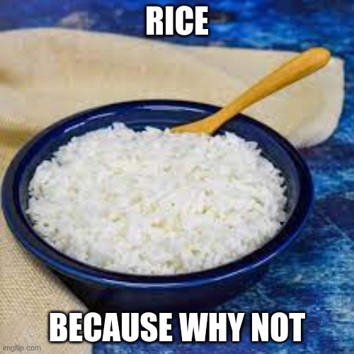 Rice | RICE; BECAUSE WHY NOT | image tagged in rice,because why not,lets see how far this goes,i don't know,i like rice,e | made w/ Imgflip meme maker