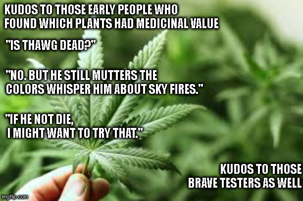 Early Testers | KUDOS TO THOSE EARLY PEOPLE WHO FOUND WHICH PLANTS HAD MEDICINAL VALUE; "IS THAWG DEAD?"; "NO. BUT HE STILL MUTTERS THE COLORS WHISPER HIM ABOUT SKY FIRES."; "IF HE NOT DIE,
 I MIGHT WANT TO TRY THAT."; KUDOS TO THOSE BRAVE TESTERS AS WELL | image tagged in marijuana | made w/ Imgflip meme maker