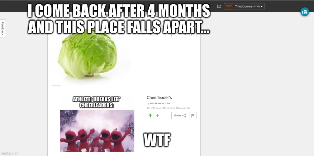 back after 4 months | I COME BACK AFTER 4 MONTHS AND THIS PLACE FALLS APART... WTF | image tagged in funny | made w/ Imgflip meme maker