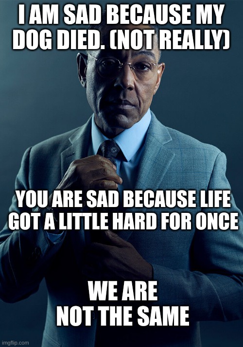 STOP PRETENDING TO BE SAD! | I AM SAD BECAUSE MY DOG DIED. (NOT REALLY); YOU ARE SAD BECAUSE LIFE GOT A LITTLE HARD FOR ONCE; WE ARE NOT THE SAME | image tagged in gus fring we are not the same | made w/ Imgflip meme maker