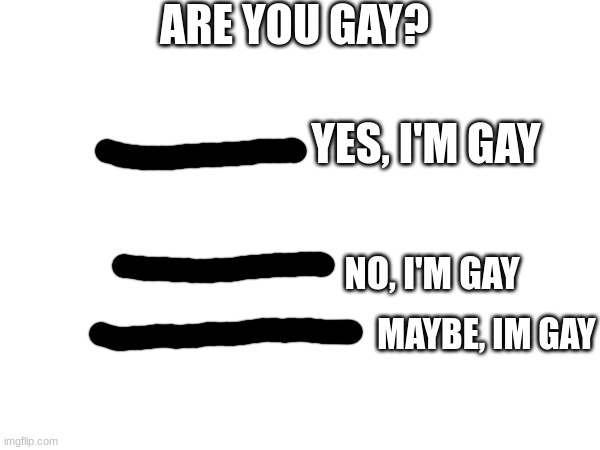 ARE YOU GAY? YES, I'M GAY; NO, I'M GAY; MAYBE, IM GAY | image tagged in low effort meme,shitpost | made w/ Imgflip meme maker