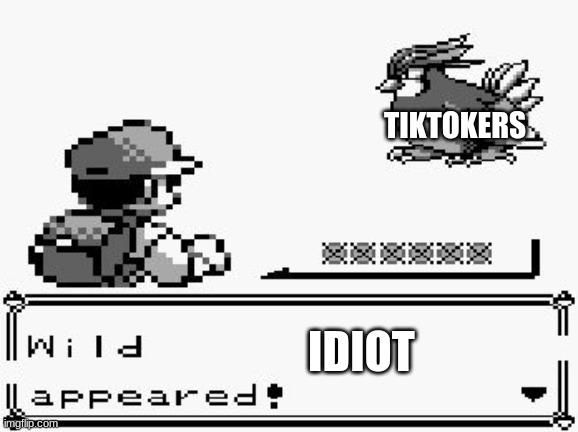 pokemon appears | TIKTOKERS IDIOT | image tagged in pokemon appears | made w/ Imgflip meme maker