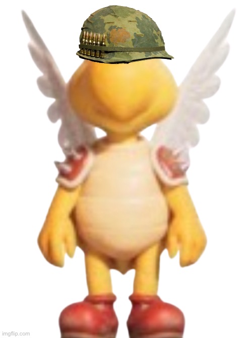 He can’t see bruh | image tagged in koopa-paratroopa model tsmbm | made w/ Imgflip meme maker