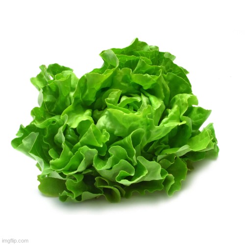 image tagged in lettuce | made w/ Imgflip meme maker