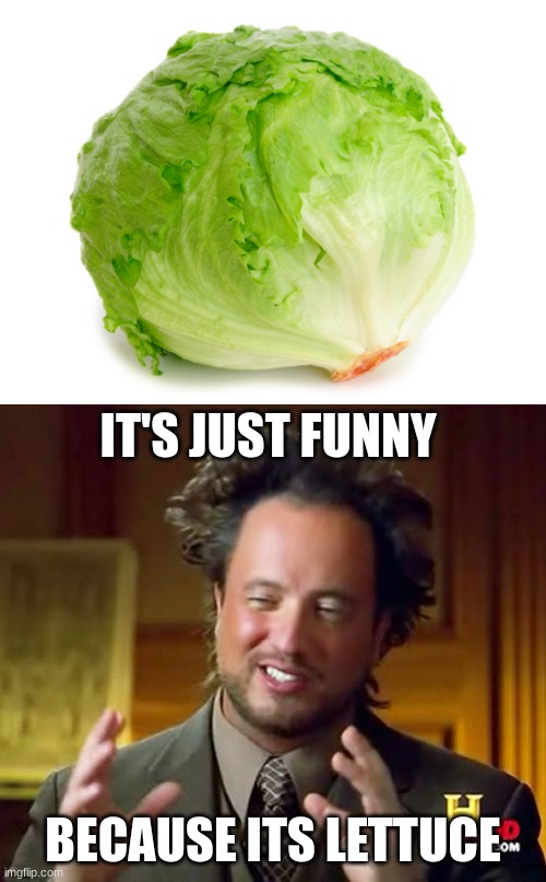 random veggies are funny | IT'S JUST FUNNY; BECAUSE ITS LETTUCE | image tagged in lettuce,i'm not saying it's _____ but it's _____ | made w/ Imgflip meme maker