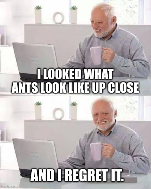 Hide the Pain Harold | I LOOKED WHAT ANTS LOOK LIKE UP CLOSE; AND I REGRET IT. | image tagged in memes,hide the pain harold | made w/ Imgflip meme maker
