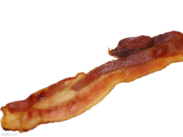 bacon | image tagged in bacon | made w/ Imgflip meme maker