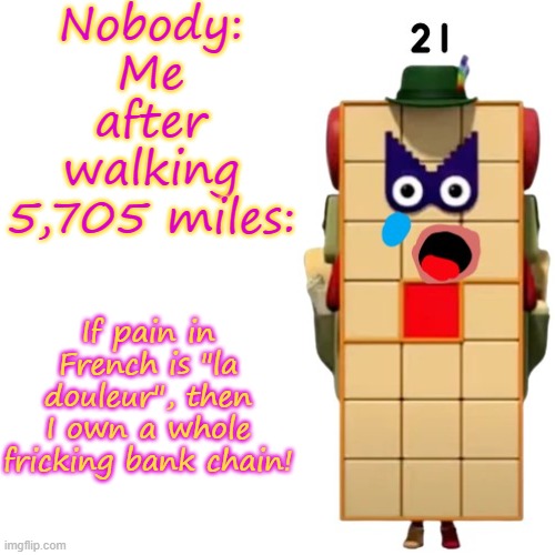 Seriously. This is how any sane person would feel walking from New York to LA and back. | Nobody:
Me after walking 5,705 miles: | image tagged in pain bank,pain | made w/ Imgflip meme maker