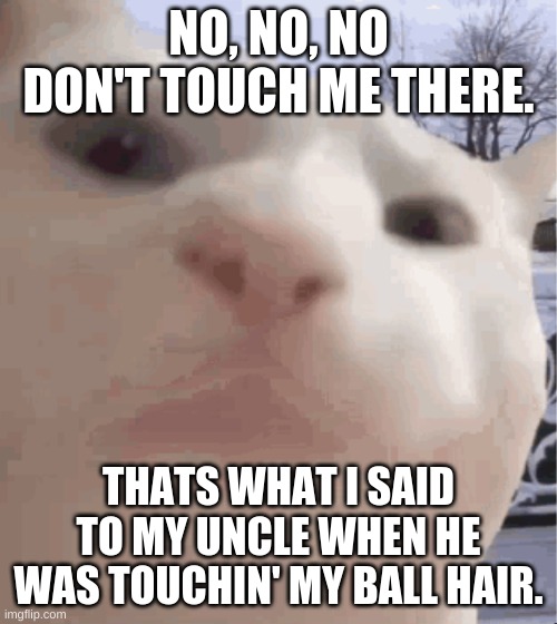 wait | NO, NO, NO DON'T TOUCH ME THERE. THATS WHAT I SAID TO MY UNCLE WHEN HE WAS TOUCHIN' MY BALL HAIR. | image tagged in i showed you my | made w/ Imgflip meme maker