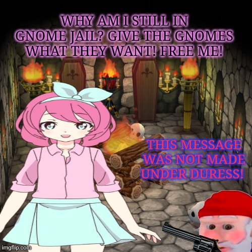 Surrender this criminal stream immediately | WHY AM I STILL IN GNOME JAIL? GIVE THE GNOMES WHAT THEY WANT! FREE ME! THIS MESSAGE WAS NOT MADE UNDER DURESS! | image tagged in gnomes,bow down to the,gnome king | made w/ Imgflip meme maker