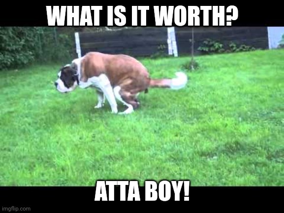 Dog shit | WHAT IS IT WORTH? ATTA BOY! | image tagged in dog shit | made w/ Imgflip meme maker