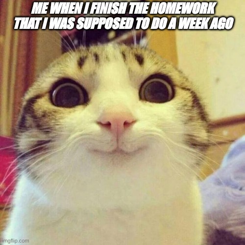 Hi | ME WHEN I FINISH THE HOMEWORK THAT I WAS SUPPOSED TO DO A WEEK AGO | image tagged in memes,smiling cat | made w/ Imgflip meme maker