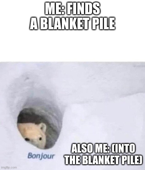 blanket pile | ME: FINDS A BLANKET PILE; ALSO ME: (INTO THE BLANKET PILE) | image tagged in bonjour | made w/ Imgflip meme maker