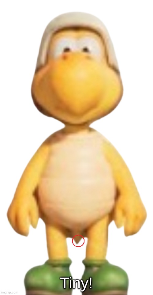Koopa-Troopa Model (TSMBM) | Tiny! | image tagged in koopa-troopa model tsmbm | made w/ Imgflip meme maker