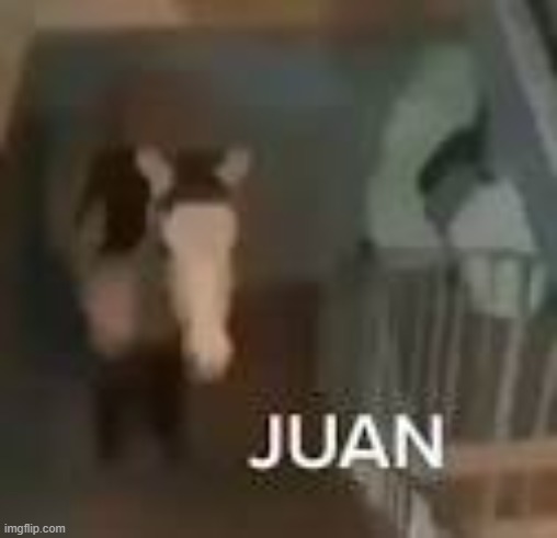 please dont hurt my family | image tagged in juan on staircase | made w/ Imgflip meme maker