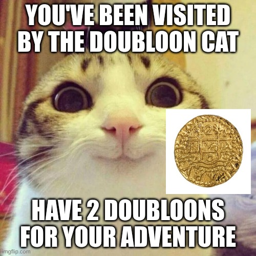 doubloons 4 u | YOU'VE BEEN VISITED BY THE DOUBLOON CAT; HAVE 2 DOUBLOONS FOR YOUR ADVENTURE | image tagged in memes,smiling cat | made w/ Imgflip meme maker