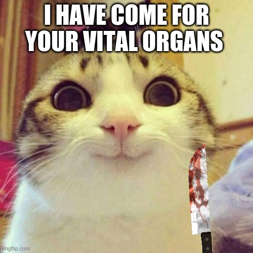 Mmmmm organs | I HAVE COME FOR YOUR VITAL ORGANS | image tagged in memes,smiling cat | made w/ Imgflip meme maker