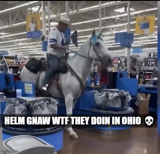 bru | HELM GNAW WTF THEY DOIN IN OHIO 💀 | image tagged in guy on a unicorn in a walmart | made w/ Imgflip meme maker