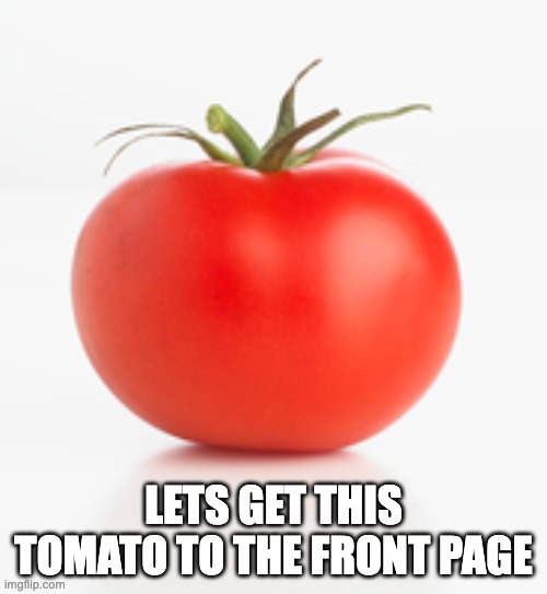 tomato | LETS GET THIS TOMATO TO THE FRONT PAGE | image tagged in tomato,funny,yes | made w/ Imgflip meme maker