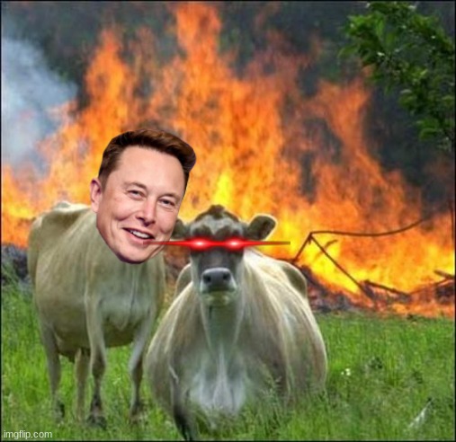 Elon Musk scaryyyyy | image tagged in memes,evil cows | made w/ Imgflip meme maker