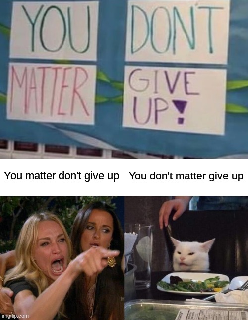 Thanks    *cries* | You matter don't give up; You don't matter give up | image tagged in memes,woman yelling at cat,funny,cat,image | made w/ Imgflip meme maker