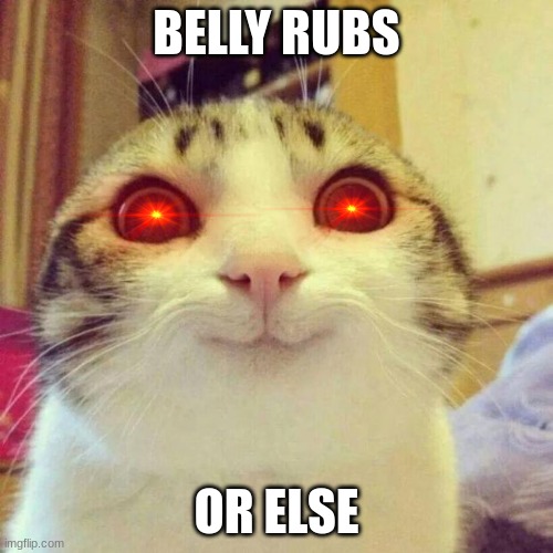 Smiling Cat | BELLY RUBS; OR ELSE | image tagged in memes,smiling cat | made w/ Imgflip meme maker